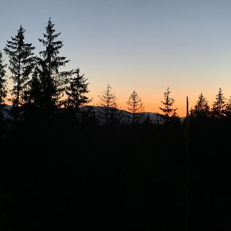 Hotel Novoe Shale Jablunytsja Exteriör bild
