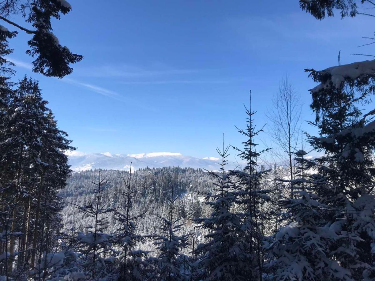 Hotel Novoe Shale Jablunytsja Exteriör bild