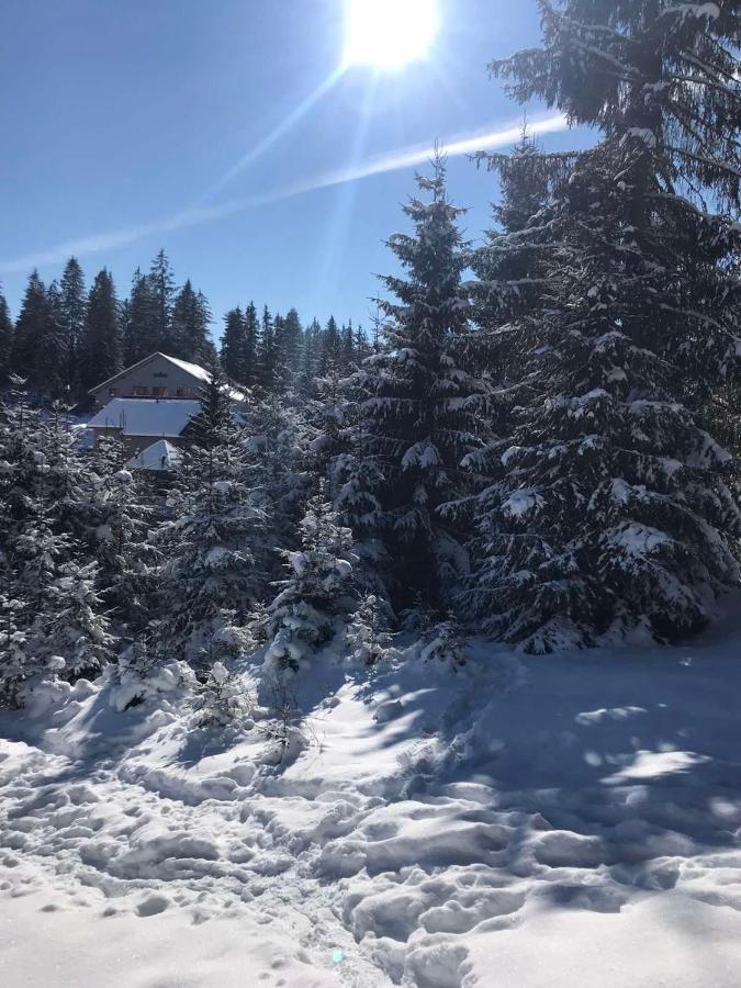 Hotel Novoe Shale Jablunytsja Exteriör bild