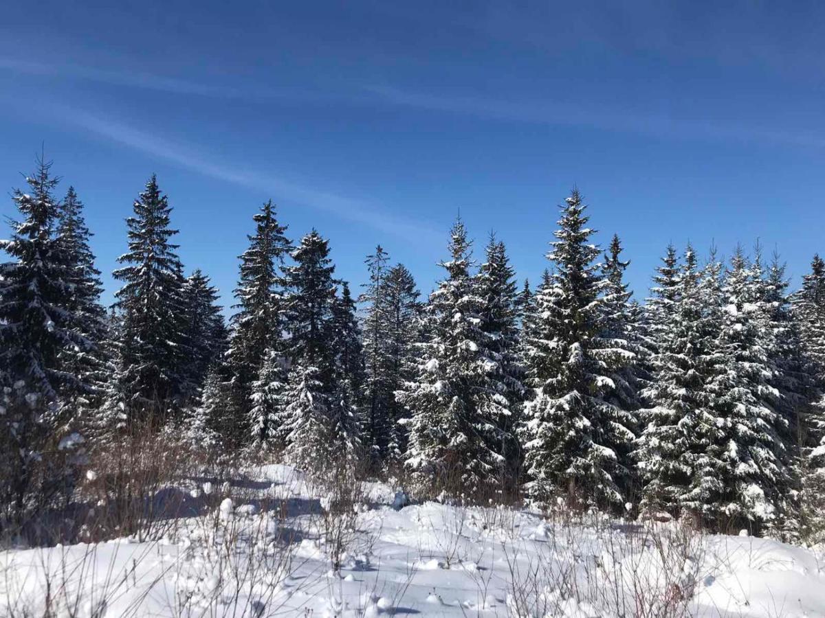 Hotel Novoe Shale Jablunytsja Exteriör bild