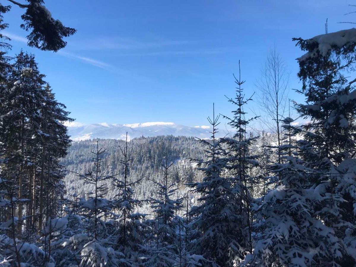 Hotel Novoe Shale Jablunytsja Exteriör bild