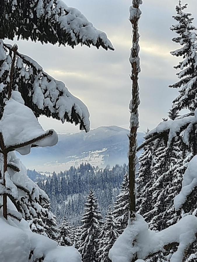 Hotel Novoe Shale Jablunytsja Exteriör bild