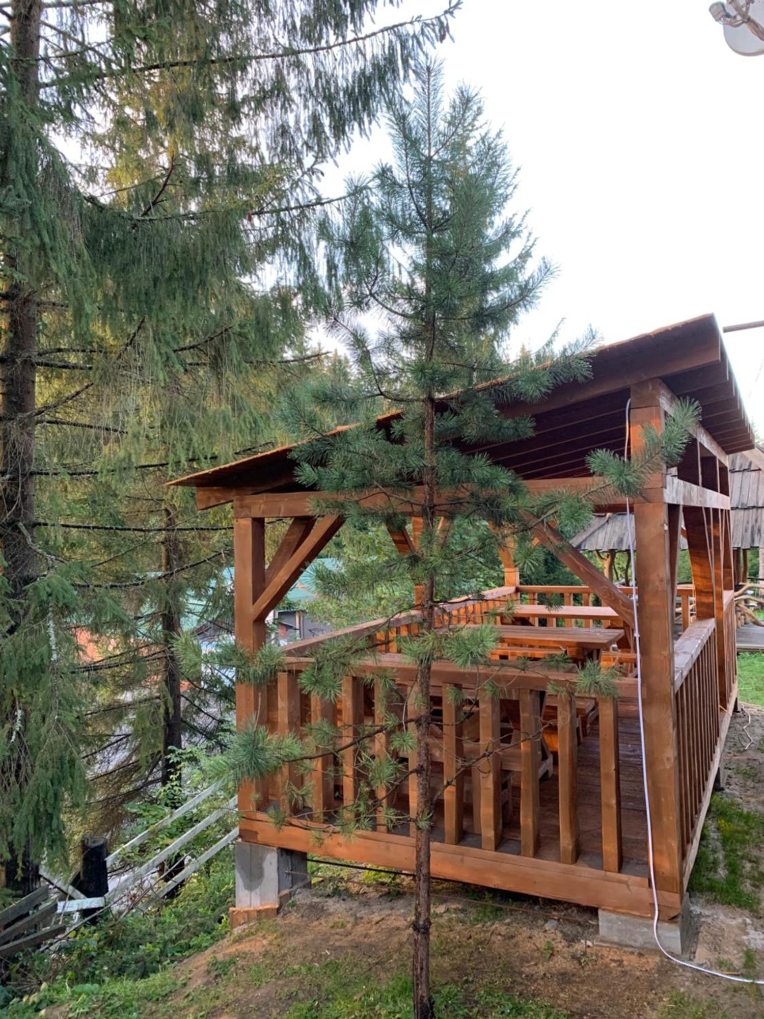Hotel Novoe Shale Jablunytsja Exteriör bild